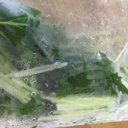 水菜が冷凍保存できることが知れてよかったです！これからも実践したいと思います。